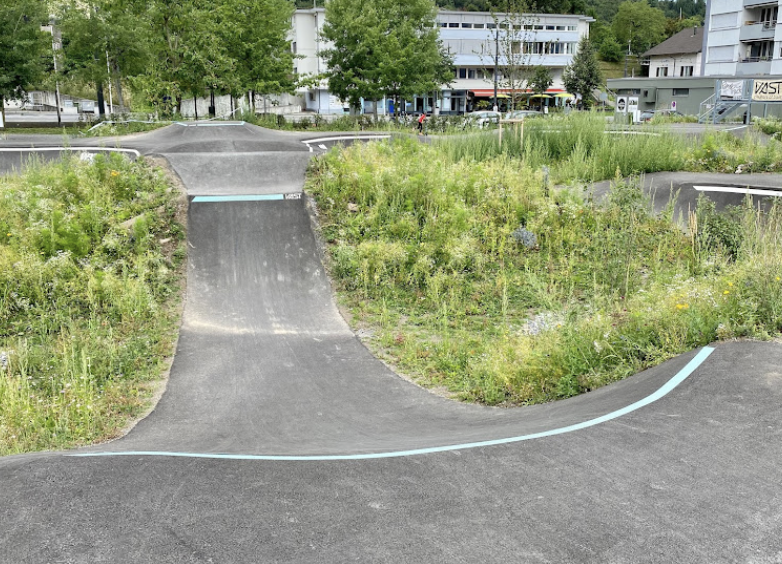 Ebikon pumptrack